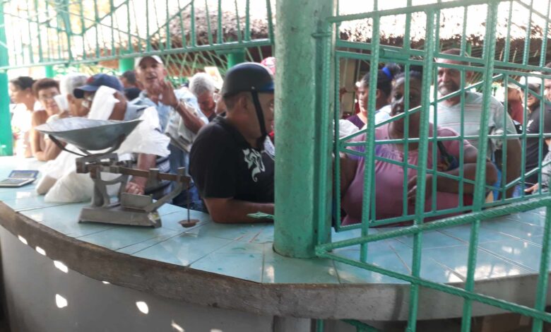 Fogueado en retos y adversidades Sandino desarrolló este sábado la feria agropecuaria