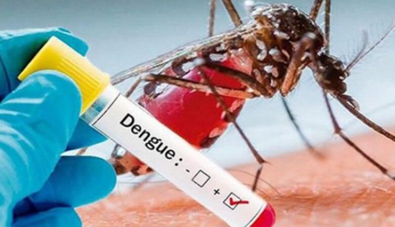 dengue sandino