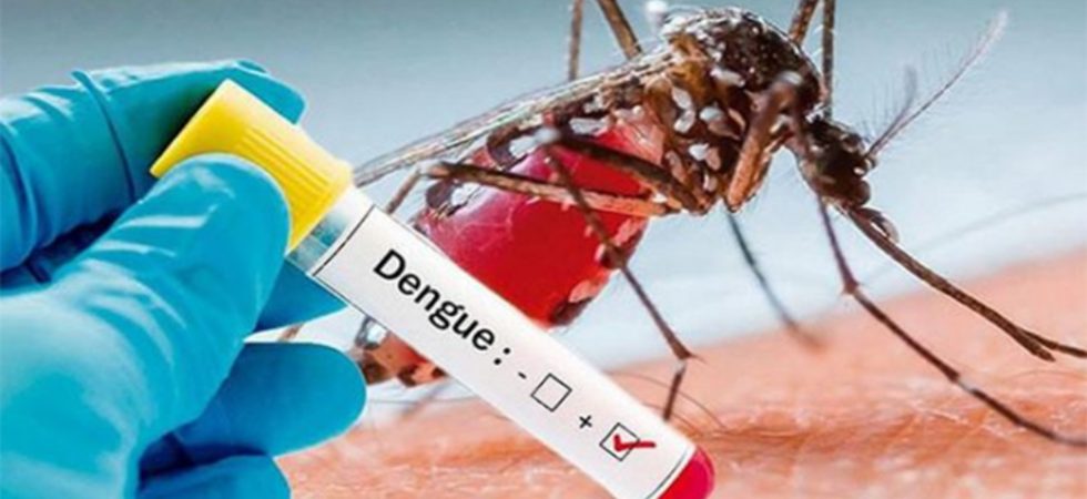 dengue sandino