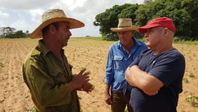 delegado de la agricultura pinar del río Yoel Hernández Acosta