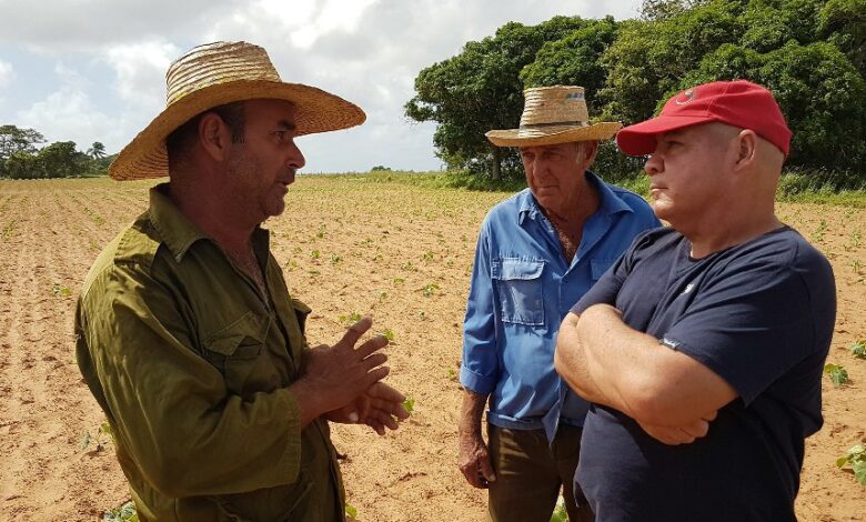 delegado de la agricultura pinar del río Yoel Hernández Acosta