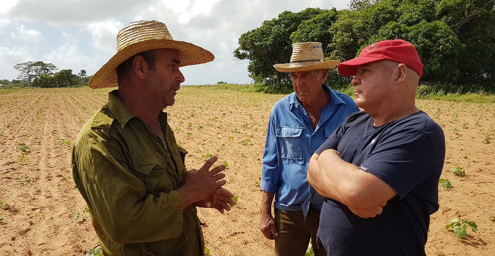 delegado de la agricultura pinar del río Yoel Hernández Acosta