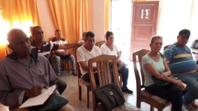 grupo municipal de alimento