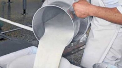 Llaman a incrementar producción de leche en Sandino