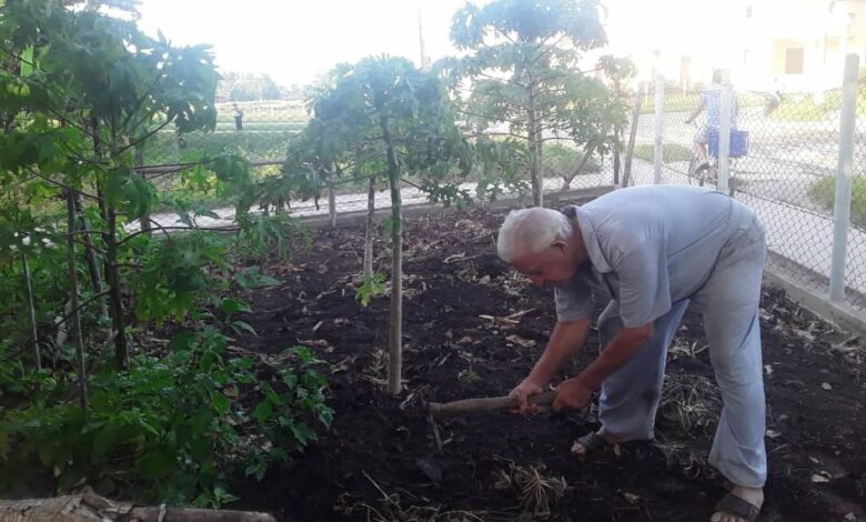 Gabriel Lobo Mesa cultiva tu pedacito