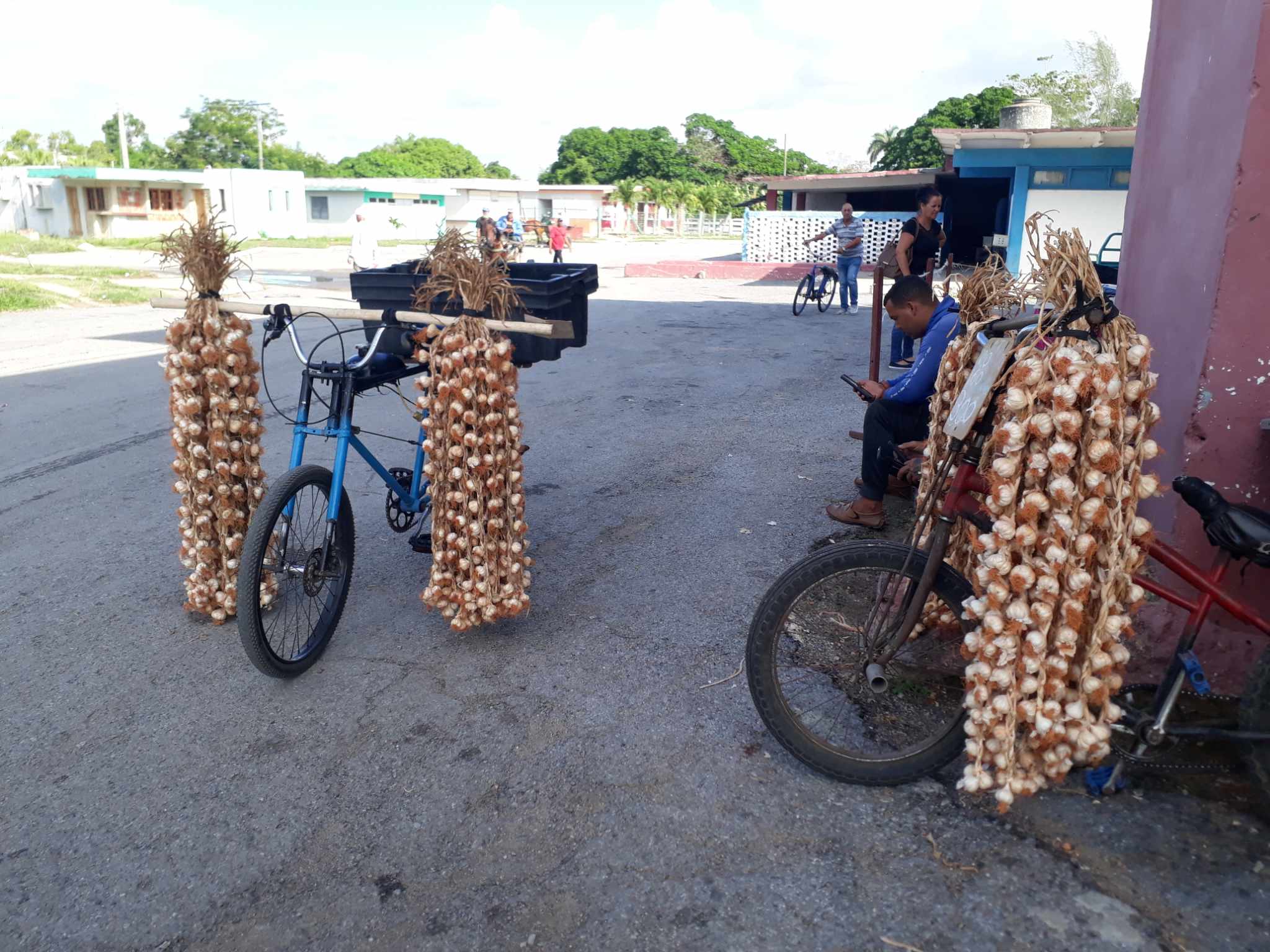 Trabajadores por cuenta propia