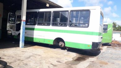 UEB de carga y pasaje en Sandino