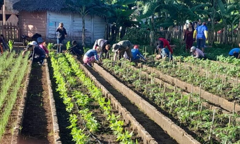 Apoya la producción de alimentos sector educacional en Sandino