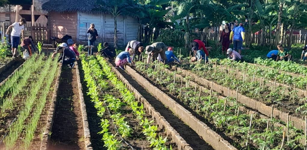 Apoya la producción de alimentos sector educacional en Sandino