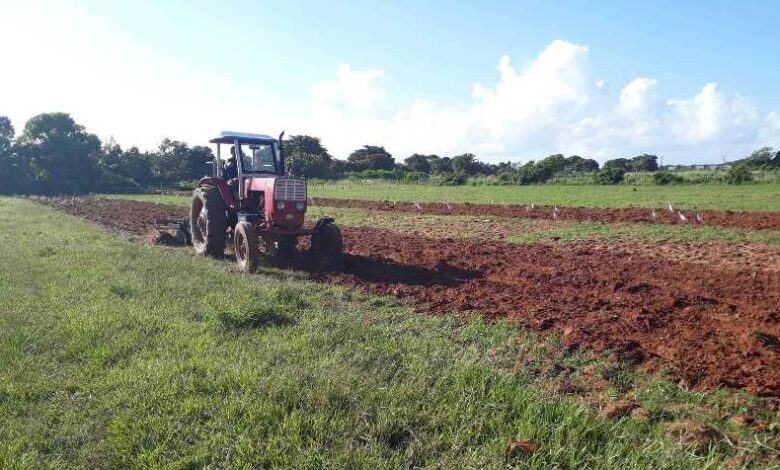 Prioriza Sandino contratación de producciones agropecuarias