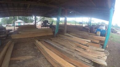 Asume nuevos compromisos Empresa Agroforestal Guanahacabibes en Sandino