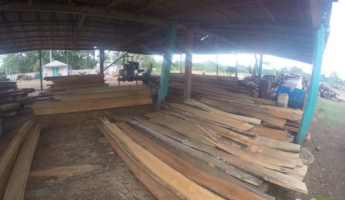 Asume nuevos compromisos Empresa Agroforestal Guanahacabibes en Sandino