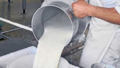 industria láctea contratación leche sandino
