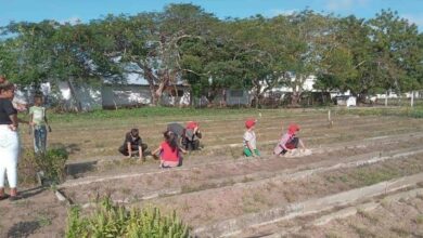 vinculación del estudio con el trabajo cobra fuerza en el sector de Educación en Sandino