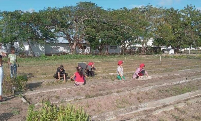 vinculación del estudio con el trabajo cobra fuerza en el sector de Educación en Sandino