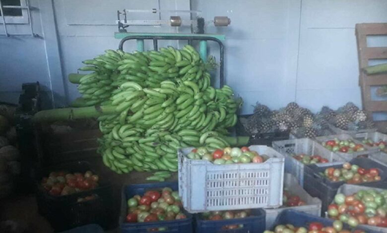 Mejora abastecimiento de productos agropecuarios en puntos de venta en Sandino