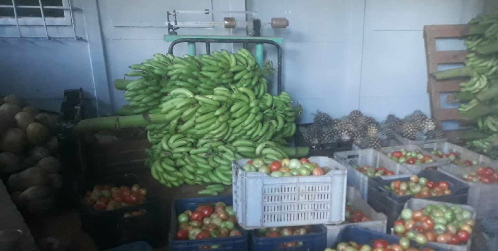Mejora abastecimiento de productos agropecuarios en puntos de venta en Sandino
