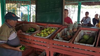 mercado el framboyán sandino roductos agropecuarios