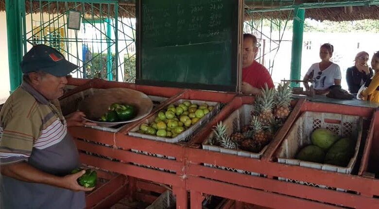 mercado el framboyán sandino roductos agropecuarios