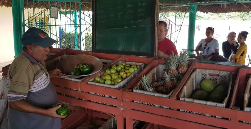 mercado el framboyán sandino roductos agropecuarios