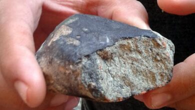 meteorito viñales hallazgos