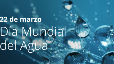 día mundial del agua