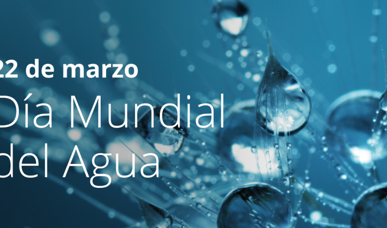 día mundial del agua