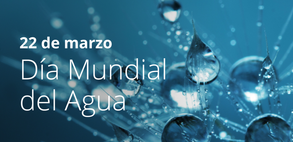 día mundial del agua