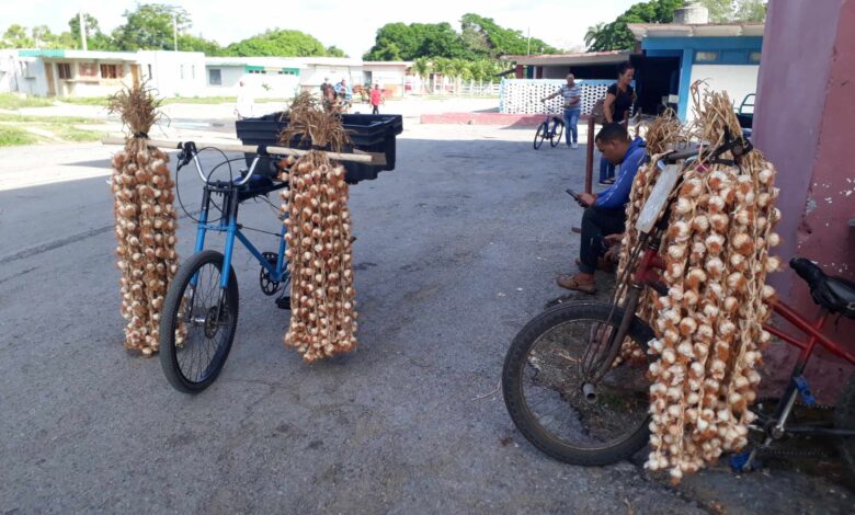 acciones de control en sector no estatal en Sandino