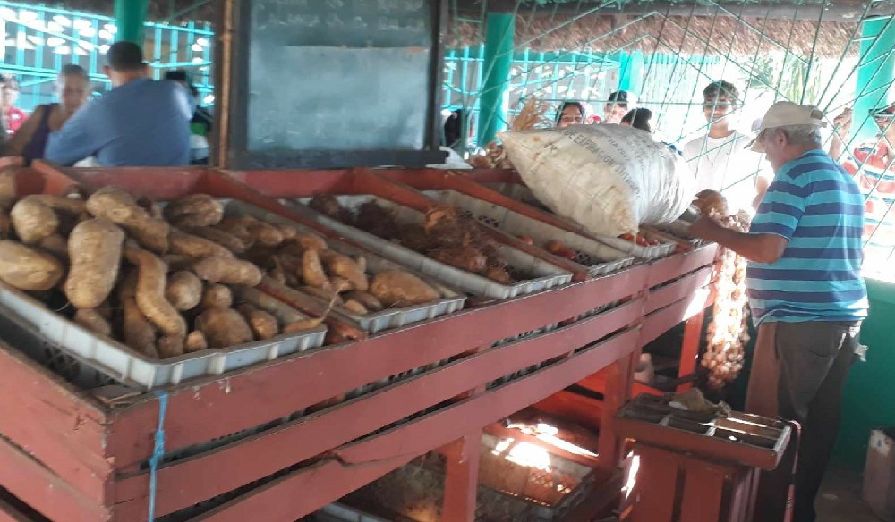 Labora Acopio para mejor surtido en mercados y puntos de venta