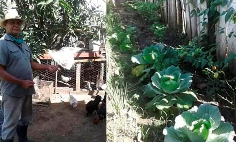 Miguel Tamayo también cultiva su pedacito
