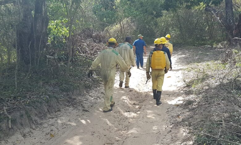 Realizan Guardabosques de Manuel Lazo acciones para evitar incendios