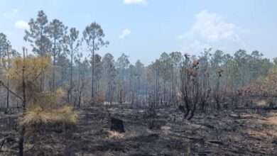 incendios forestales en Pinar del Río