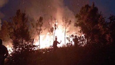 incendios forestales san juan y martínez