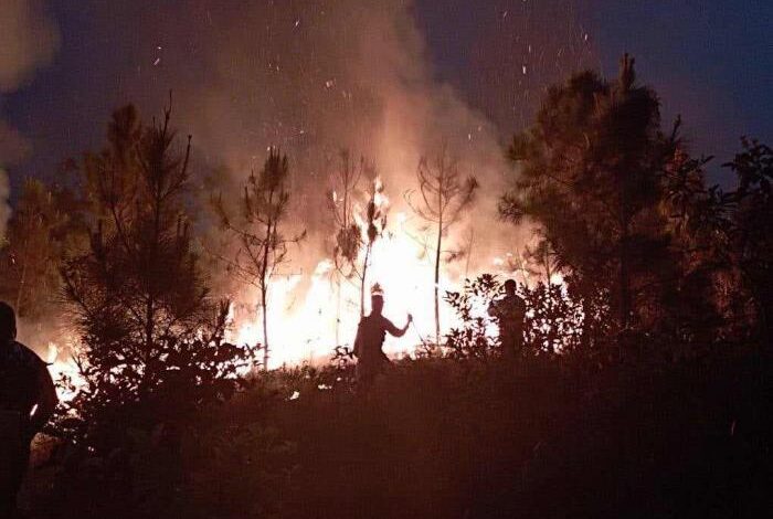 incendios forestales san juan y martínez