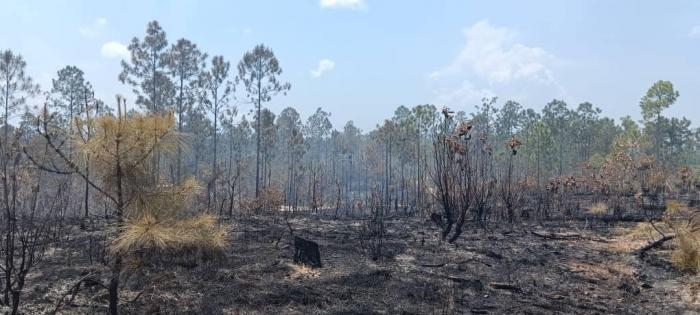incendios forestales en Pinar del Río