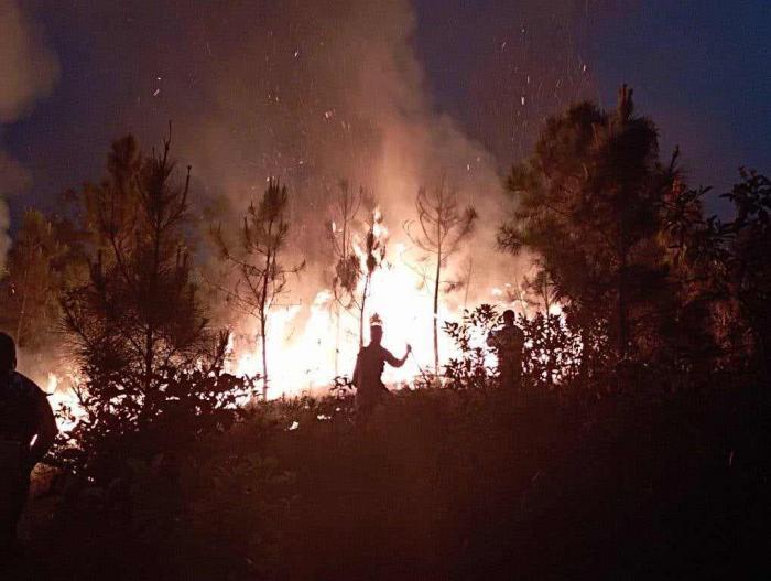 incendios forestales san juan y martínez