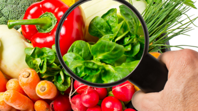 Salud Pública mantener medidas de inocuidad de los alimentos durante el verano