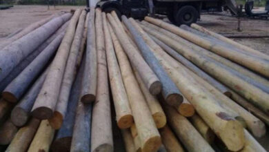 planta de impregnación de postes de Pinar del Río