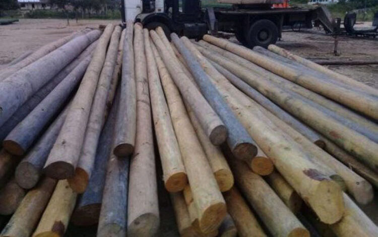 planta de impregnación de postes de Pinar del Río