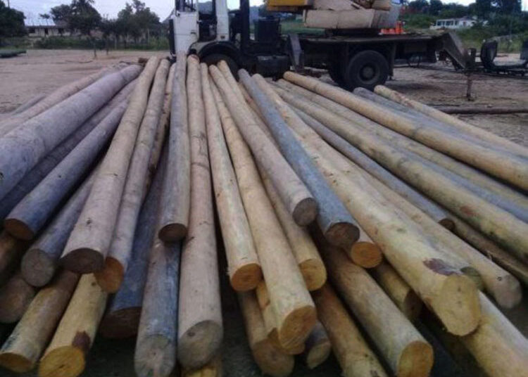 planta de impregnación de postes de Pinar del Río