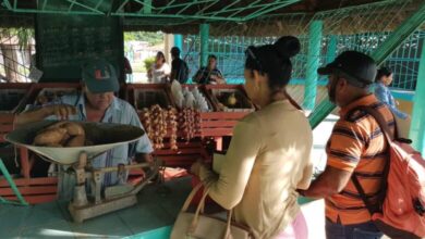 Apuestan en Sandino por mayor vinculación entre cooperativas y el mercado El Framboyán