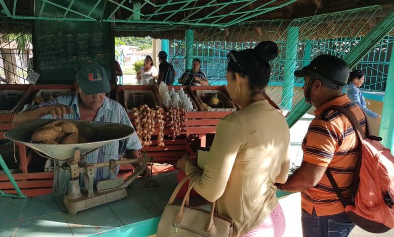 Apuestan en Sandino por mayor vinculación entre cooperativas y el mercado El Framboyán