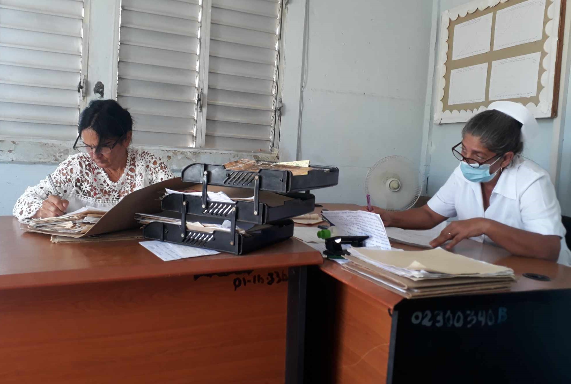 Laboran en Sandino para revertir alta focalidad del Aedes aegypti
