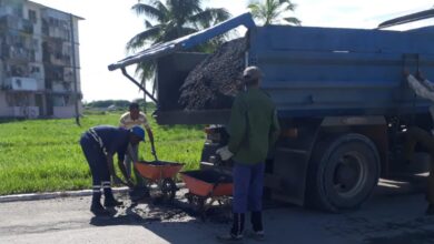 baches sandino