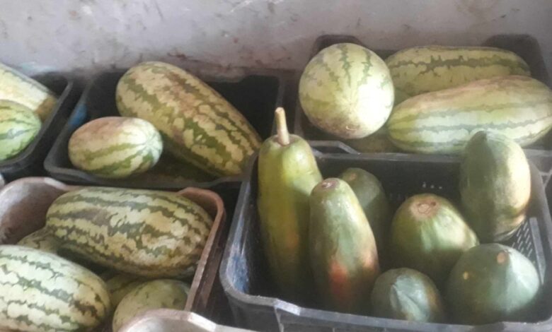 Acopio el reto de abastecer mercados y puntos de venta en Sandino