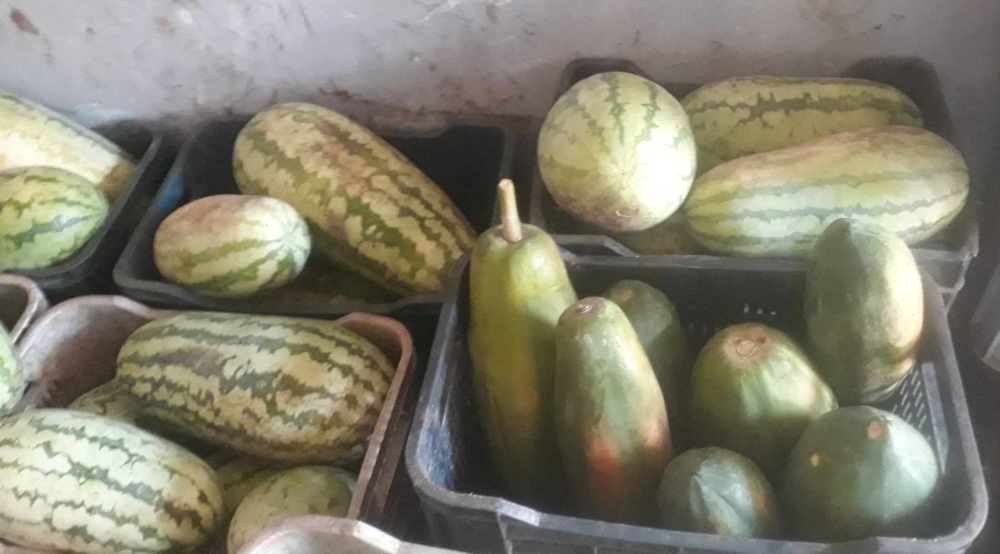 Acopio el reto de abastecer mercados y puntos de venta en Sandino