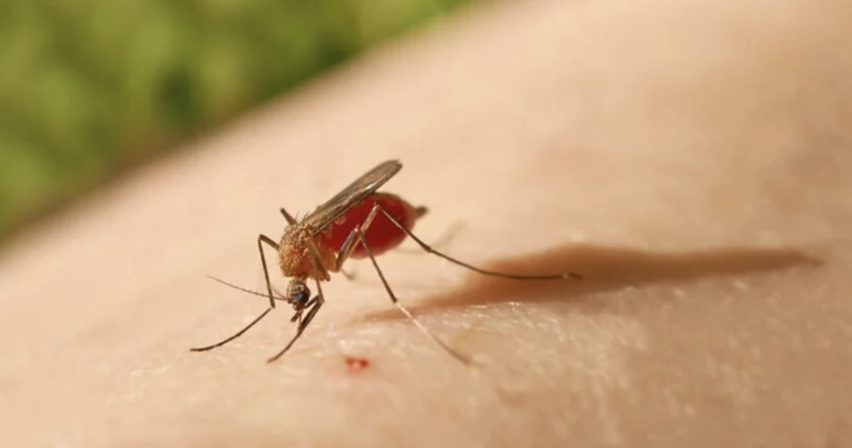 compleja situación epidemiológica de Cuba