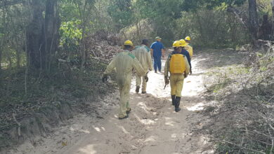 Sandino para campaña de protección contra incendios forestales
