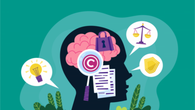 Decreto-Ley sobre contravenciones
